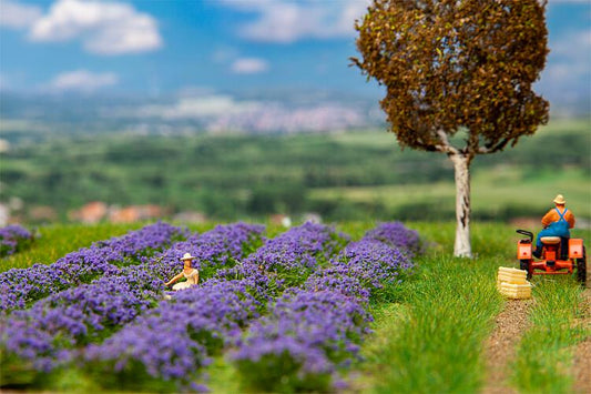 Faller 181279 Lavender Field 175x125x11mm