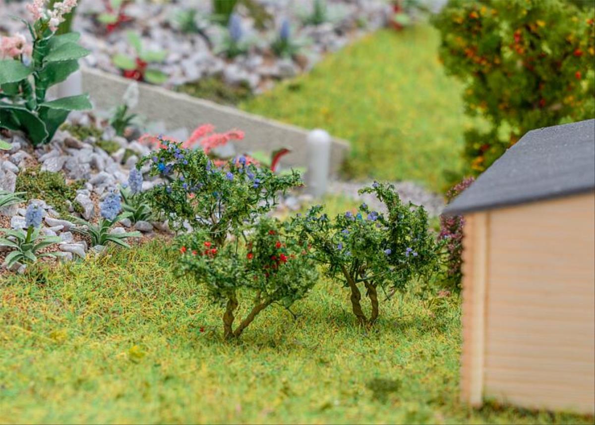 Faller 181285 Blueberry & Redcurrant Shrubs 20mm (12)