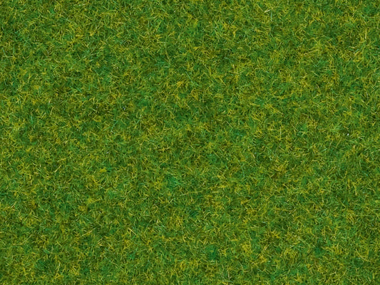 GAUGEMASTER Ornamental Lawn 2.5mm Scatter Grass 30g GM1323