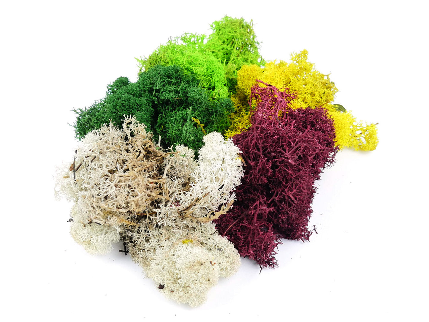 GAUGEMASTER Mixed Lichen 80g (GM166) GM1600