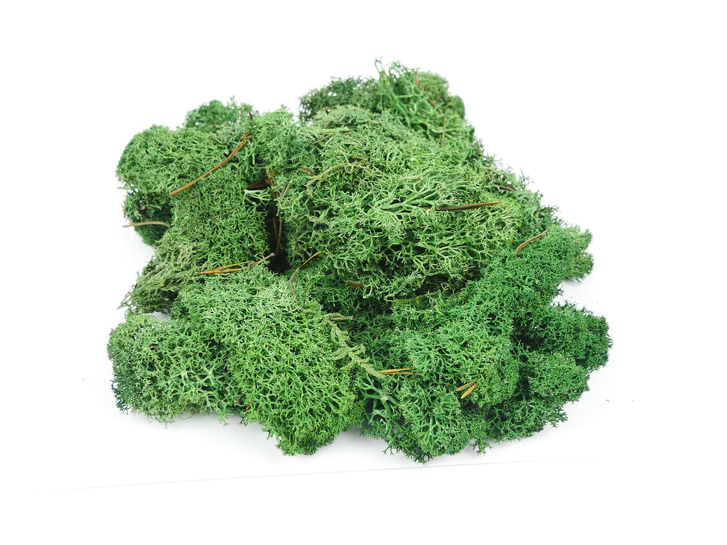 GAUGEMASTER Dark Green Lichen 80g (GM165) GM1602