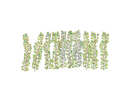 GAUGEMASTER Virgina Creepers (12) Laser Cut Minis Kit GM1662 OO Gauge