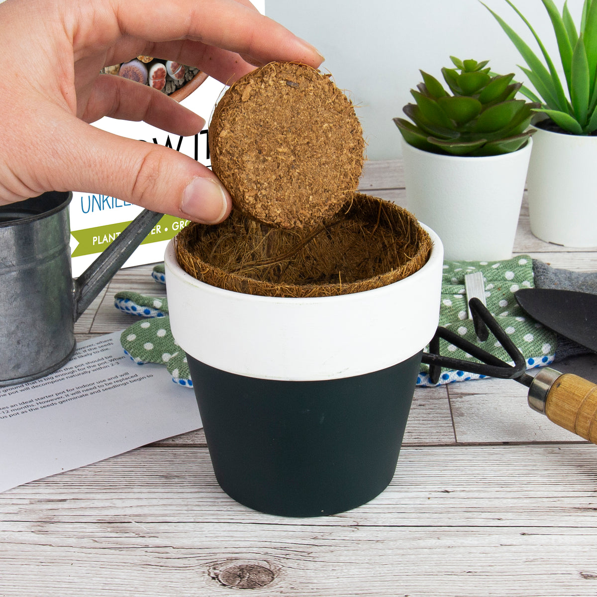 Gift Republic Grow It: Unkillable Plant
