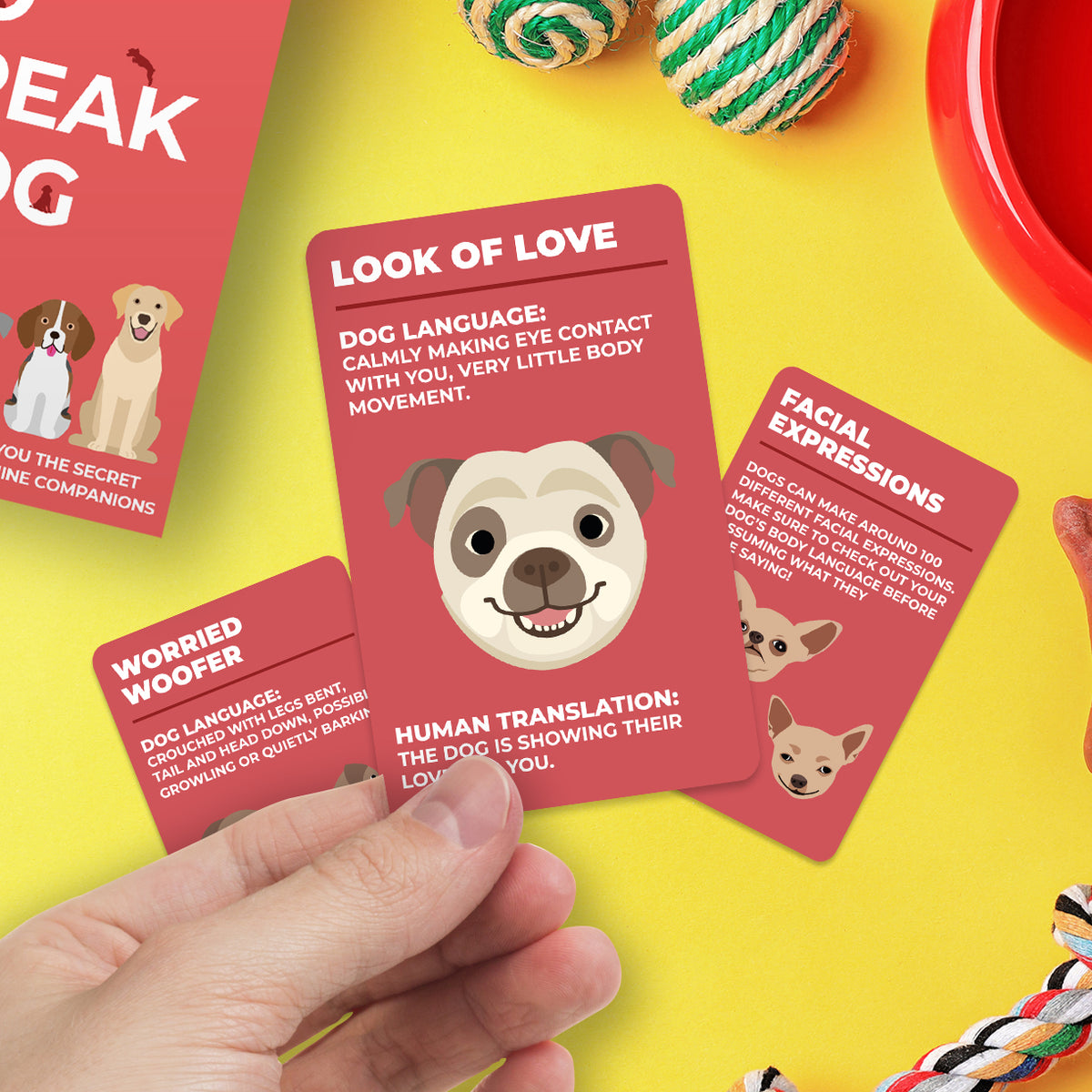 Gift Republic How to Speak Dog Cards