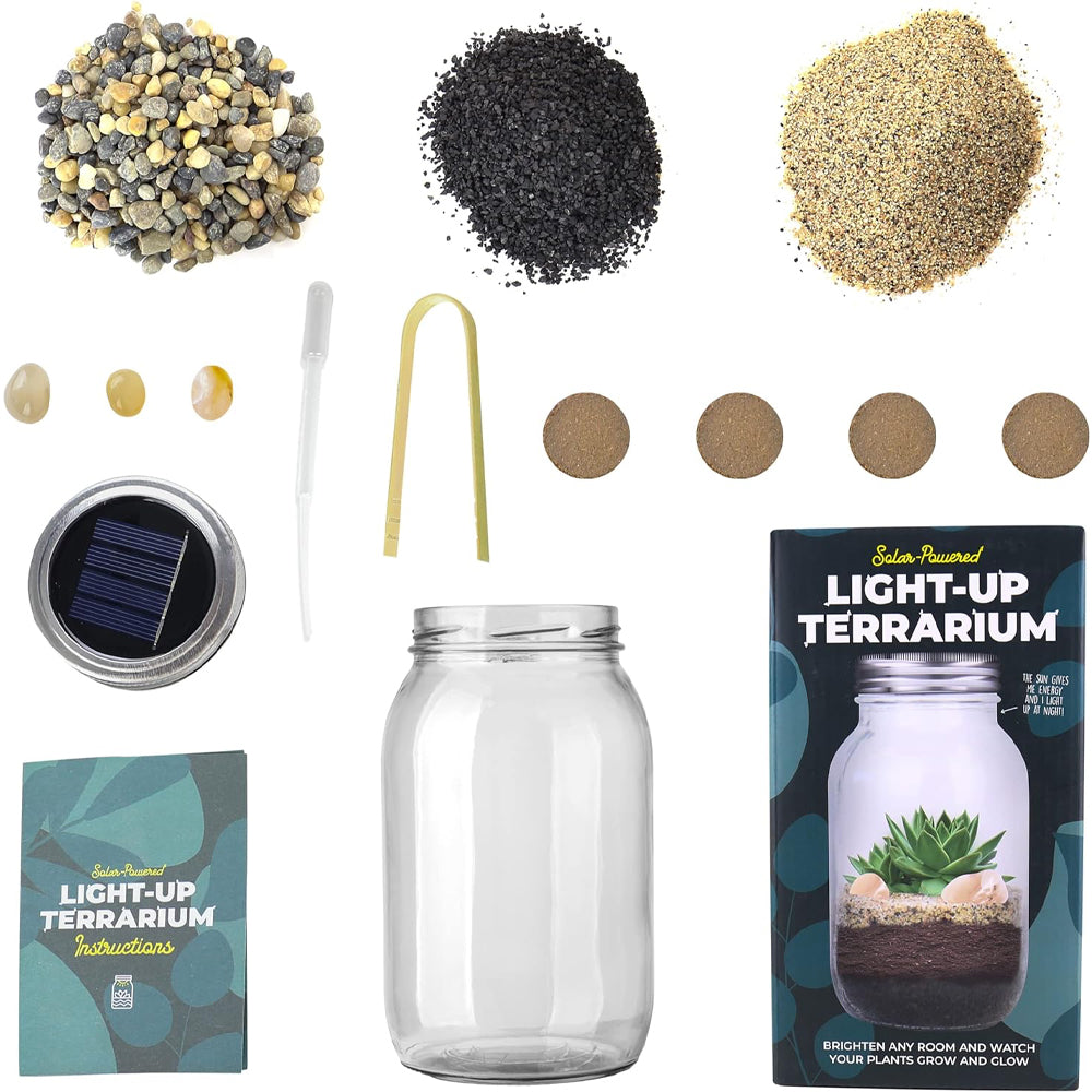 Gift Republic Light-Up Terrarium - Ideal Gift