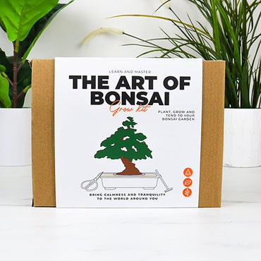 Gift Republic The Art of Bonsai - Grow Kit - Ideal Gift