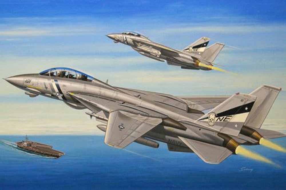 Hobby Boss 80278 Grumman F-14D Tomcat Super Tomcat 1:72 Aircraft Model Kit