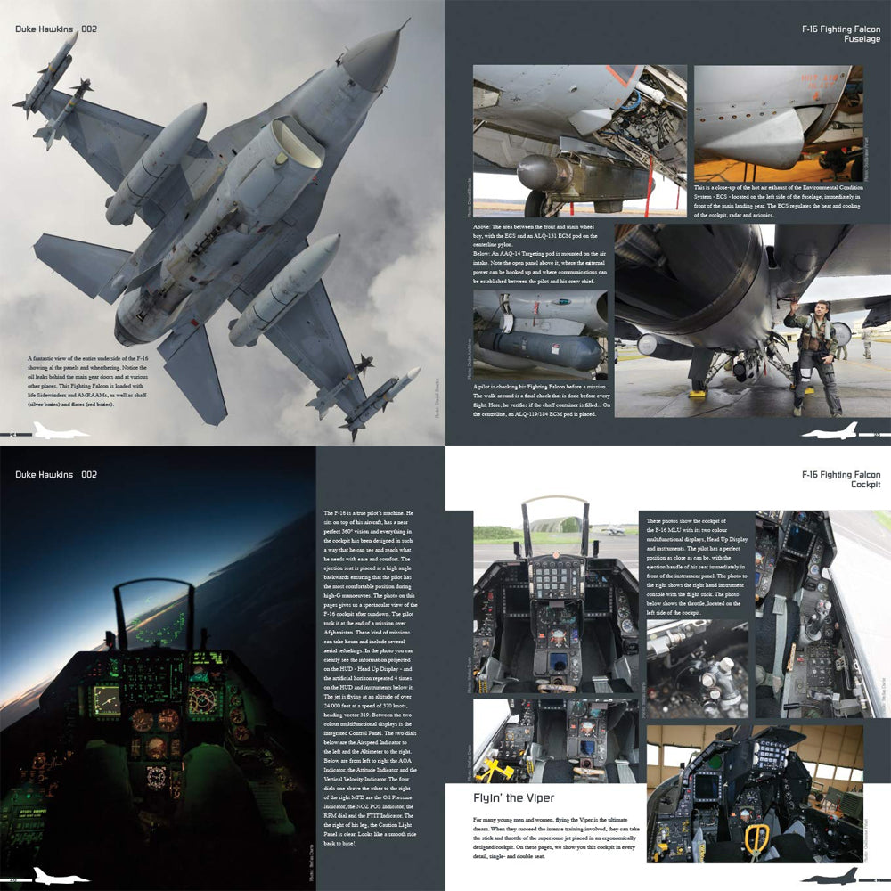 Aircraft in Details 002: F-16 Fighting Eagle - D.Hawkins - HMH Publications