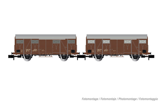 Arnold HN6574 FS, 2-unit pack Gs wagons, brown livery, ep. IV N Gauge
