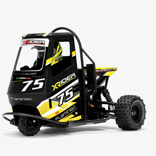 X-Rider Flamingo 1:8 RC Tricycle RTR - Black XR-83001-04