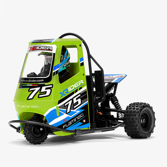 X-Rider Flamingo 1:8 RC Tricycle RTR - Green XR-83001-03