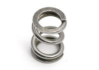 Team Associated B44/B6/B6D Slipper Spring AS9739