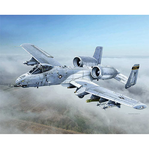 ITALERI A-10c Blacksnakes 2725 1:48 Aircraft Model Kit