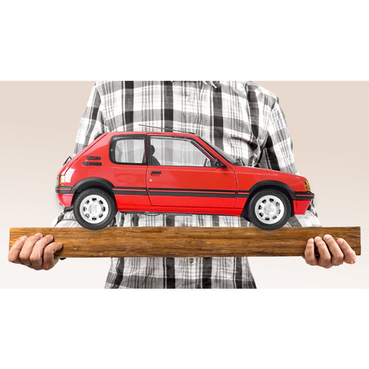 IXO Peugeot 205 1.9 GTI Red 1:8 Metal Model Kit