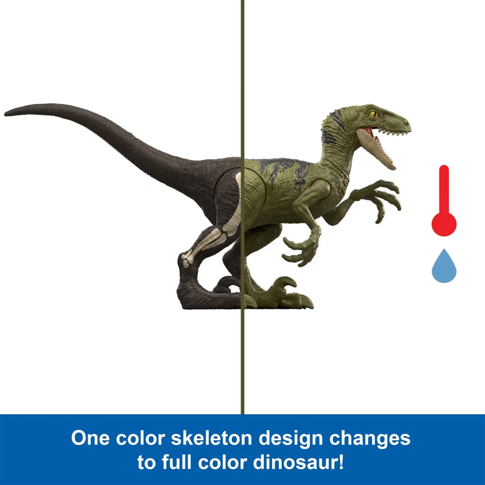 Jurassic World: Dino Reveal Dinosaur Toy Mattel JDC52