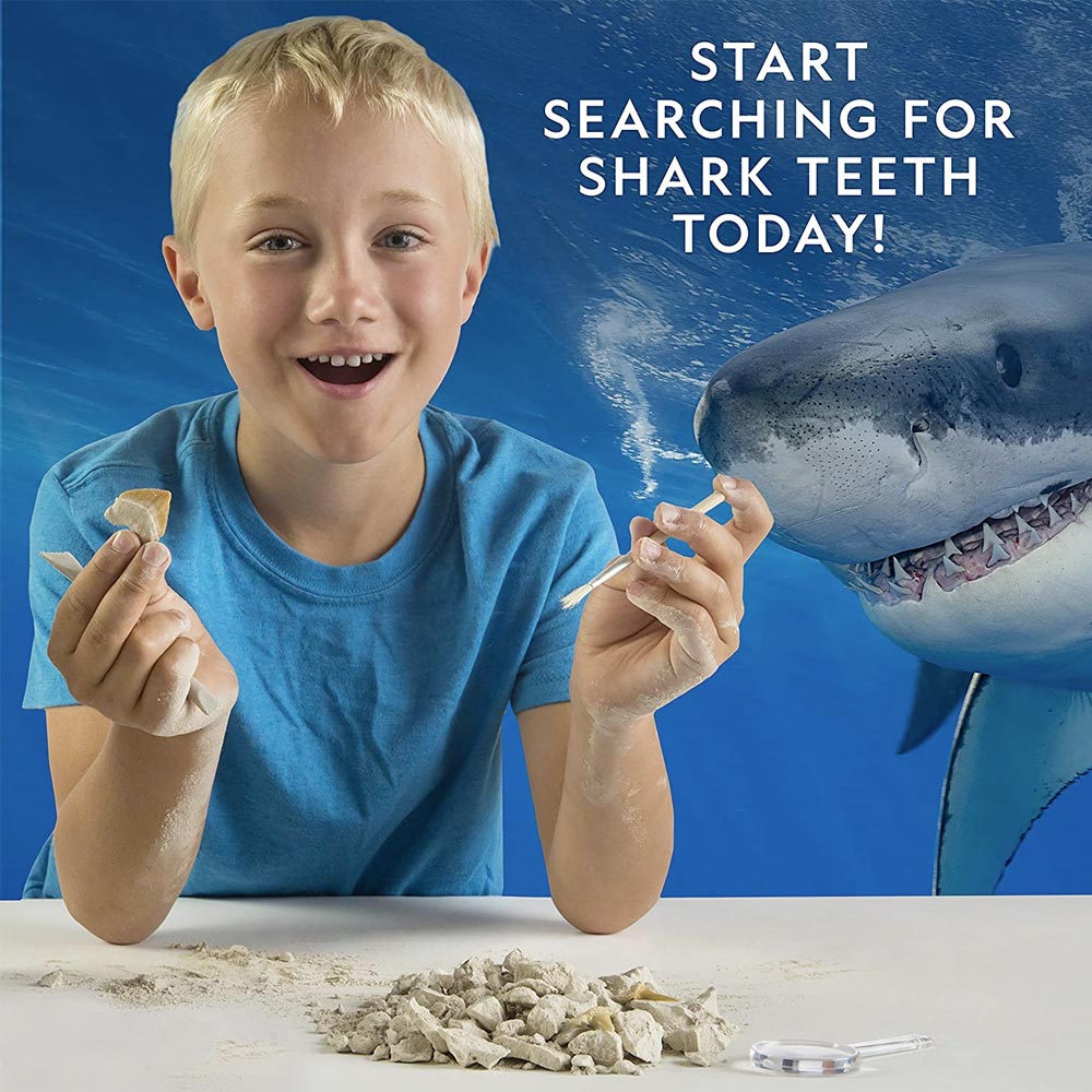 National Geographic Shark Tooth Dig Kit STEM Toy Age 8+