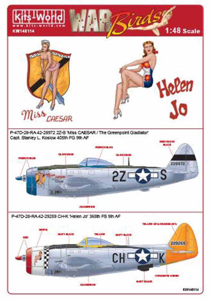 Kits World 148114 Aircraft Decals 1:48 Republic P-47D-28-RA Thunderbolt 42-28972