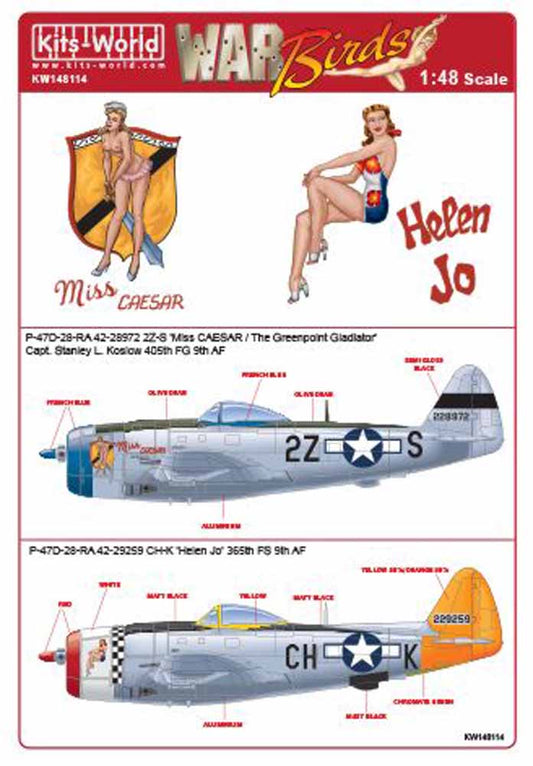 Kits World 148114 Aircraft Decals 1:48 Republic P-47D-28-RA Thunderbolt 42-28972