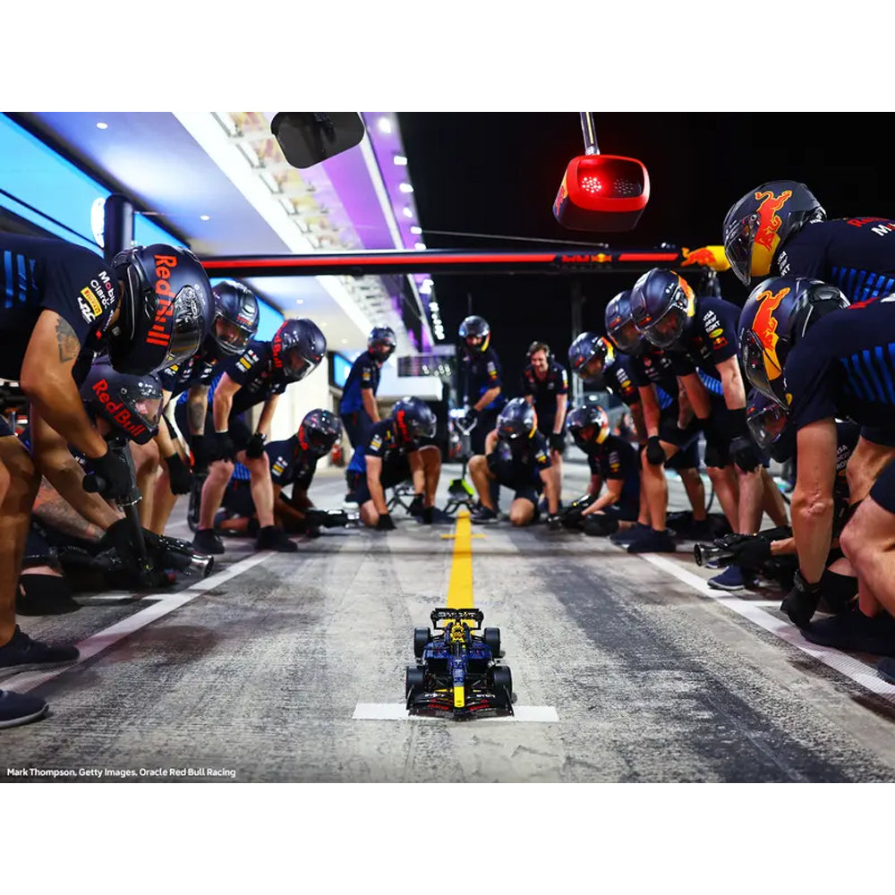 LEGO Technic 42206 Oracle Red Bull Racing RB20 F1 Car Age 18+ 1639pcs