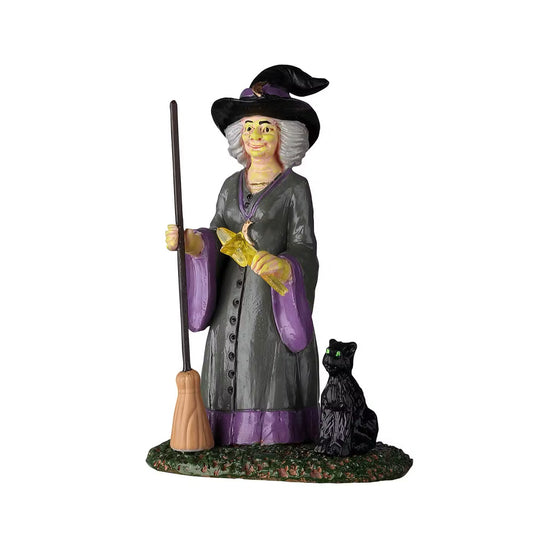 Lemax Ready For A New Spell With Figure Spooky Town Halloween Decoration 22112