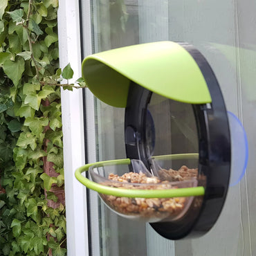 My Living World - Window Bird Feeder