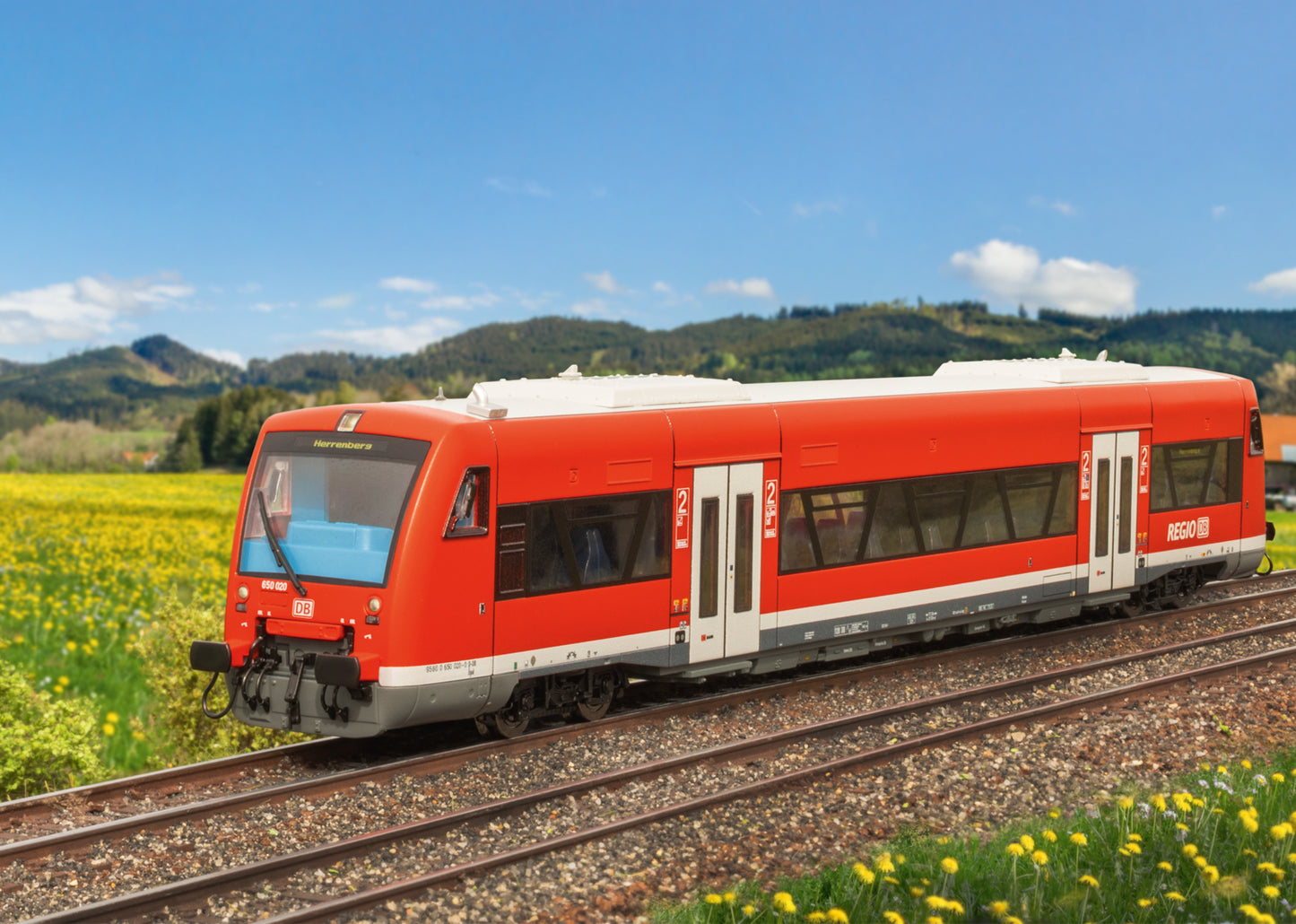 Trix DBAG BR650 RS1 RegioShuttle Diesel Railcar VI (DCC-Sound) M25965 HO Gauge