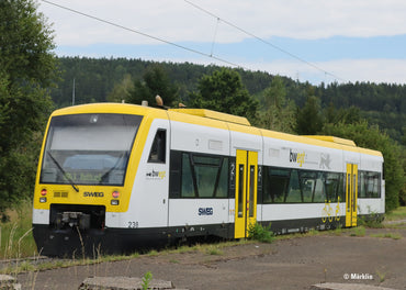 Trix SWEG BR650 RS1 RegioShuttle Diesel Railcar VI (DCC-Sound) M25966 HO Gauge