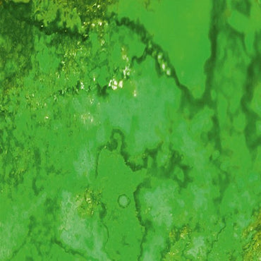 Dirty Down Moss Effect Paint 250ml Bottle for Weathering & Diorama