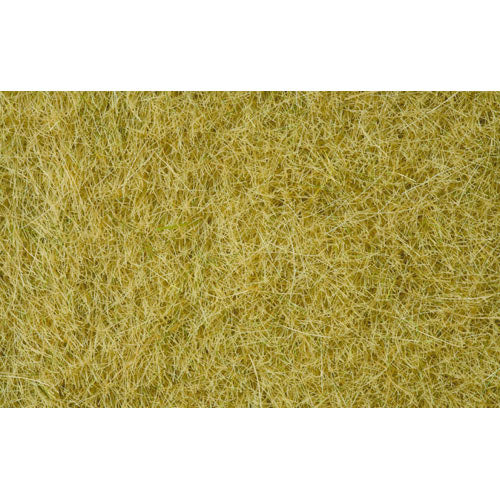 NOCH Beige Wild Grass 6mm (100g) HO Gauge Scenics 07091