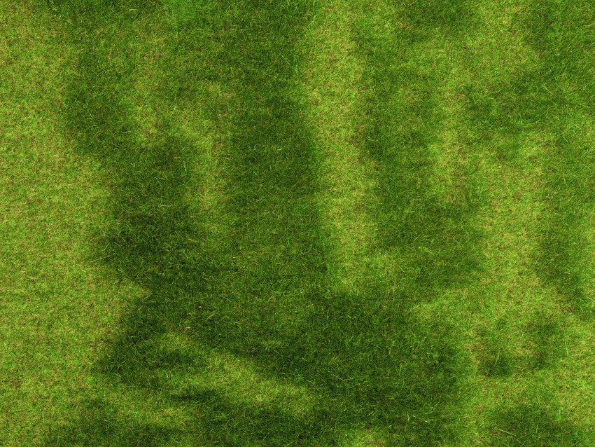 Noch 07471 Reed Meadow Natur+ Scenic Mat 25x25cm