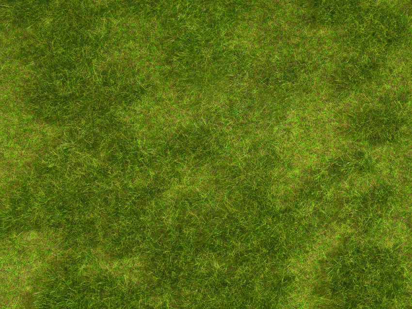 Noch Natural Meadow Natur+ Scenic Mat 25x25cm N07472