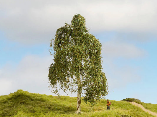 Noch Silver Birch Master Tree 18cm N20120