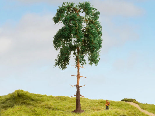 Noch Pine Master Tree 18cm N20141