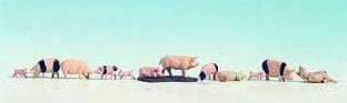 Noch Pigs (12) Figure Set N Gauge 36712