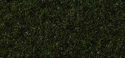 Noch Marshy Soil Scatter Grass 2.5mm (100g) Multi Scale 50200
