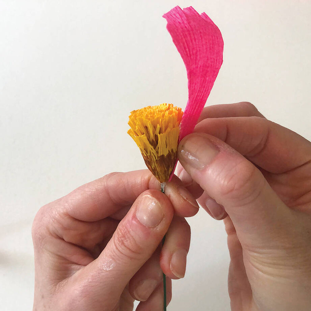 Bergin & Bath Cosmos Paper Flower Craft Kit