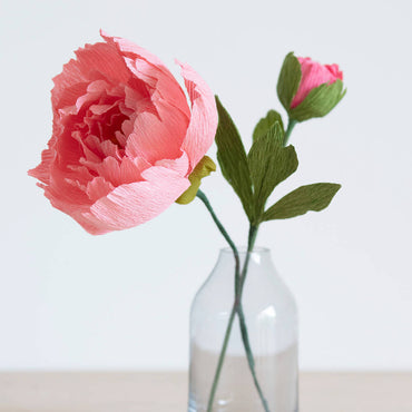 Bergin & Bath Peony Paper Flower Craft Kit