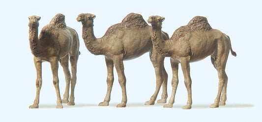 Preiser 20397 Circus Dromedaries (3) Figure Set HO