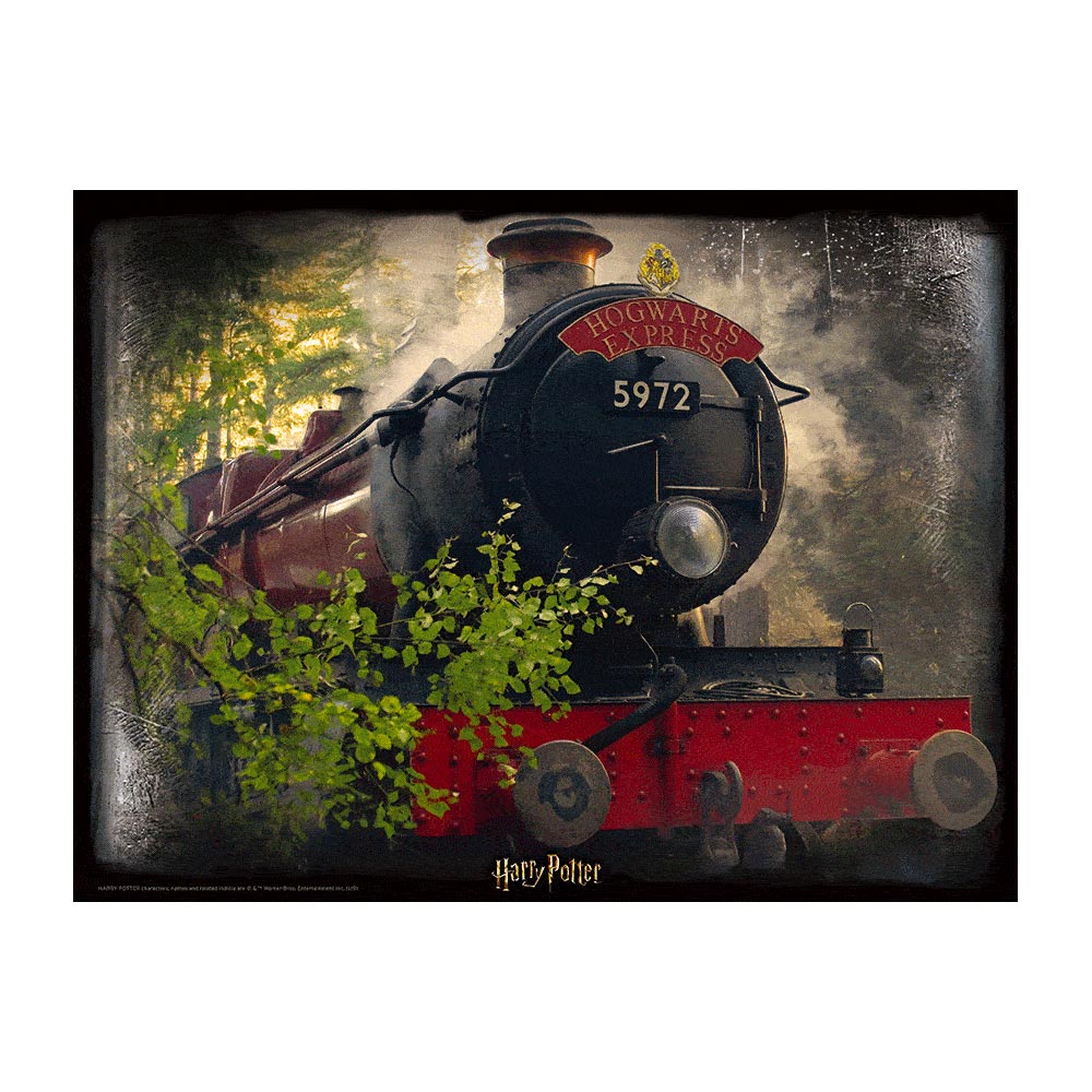 Harry Potter Hogwarts Express 500pc Prime 3D Jigsaw Puzzle HP32506
