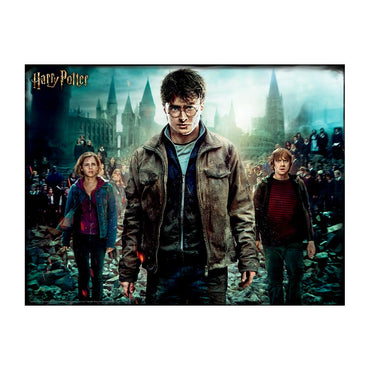 Harry Potter 500pc Prime 3D Jigsaw Puzzle HP32559