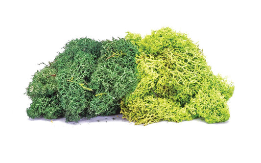 Hornby R7195 Lichen - Large Green Mix OO Gauge