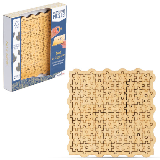 Not a Jigsaw - Constantin Puzzle Wooden Brain Game from Recent Toys C5166