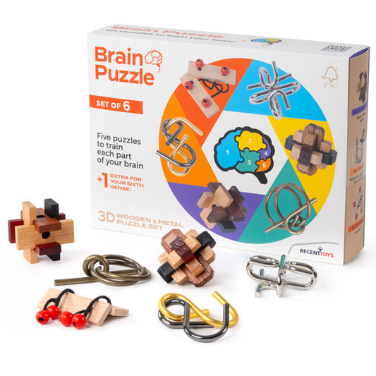 Brain Puzzle - Set of 6 Wooden & Metal Puzzles from Recent Toys RT5144
