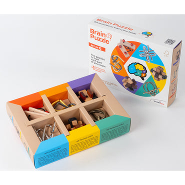 Brain Puzzle - Set of 6 Wooden & Metal Puzzles from Recent Toys RT5144