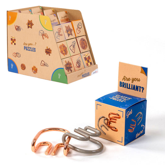 Are You Brilliant? Classic Metal Puzzle Brain Game from Recent Toys RT5116