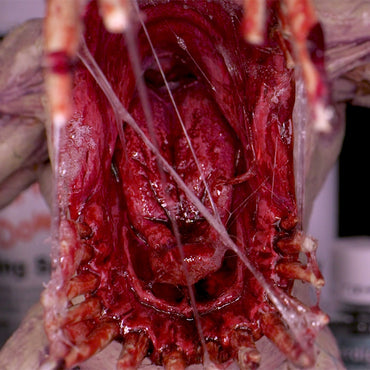 Dirty Down Snot Effect Liquid 15ml Bottle