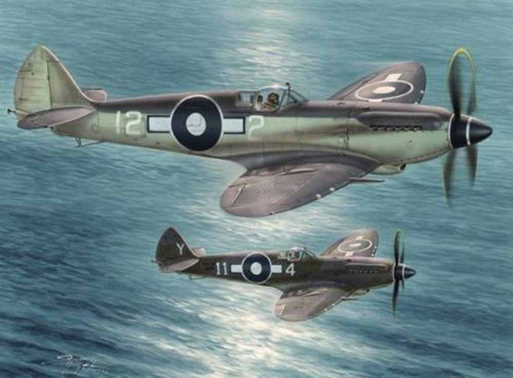 Special Hobby 48116 Seafire Mk.XV Far East Service 1:48 Aircraft Model Kit