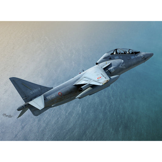 Sword 72100 McDonnell-Douglas TAV-8B Harrier II 1:72 Model Kit