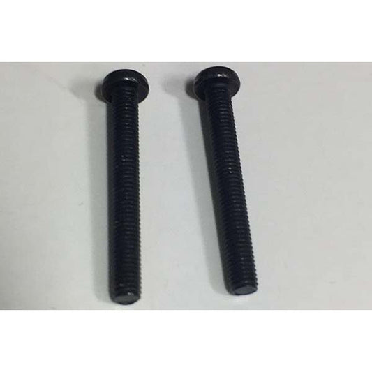 TAMIYA 9804285/19804285 3x25mm Screw (2 Pcs.) (WR-02/M05/M06/TXT-2/DB01R/DB01RR)