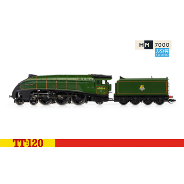 Hornby TT:120 BR Class A4 4-6-2 60016 'Silver King' Digital Era 4 SF TT3008TXSM